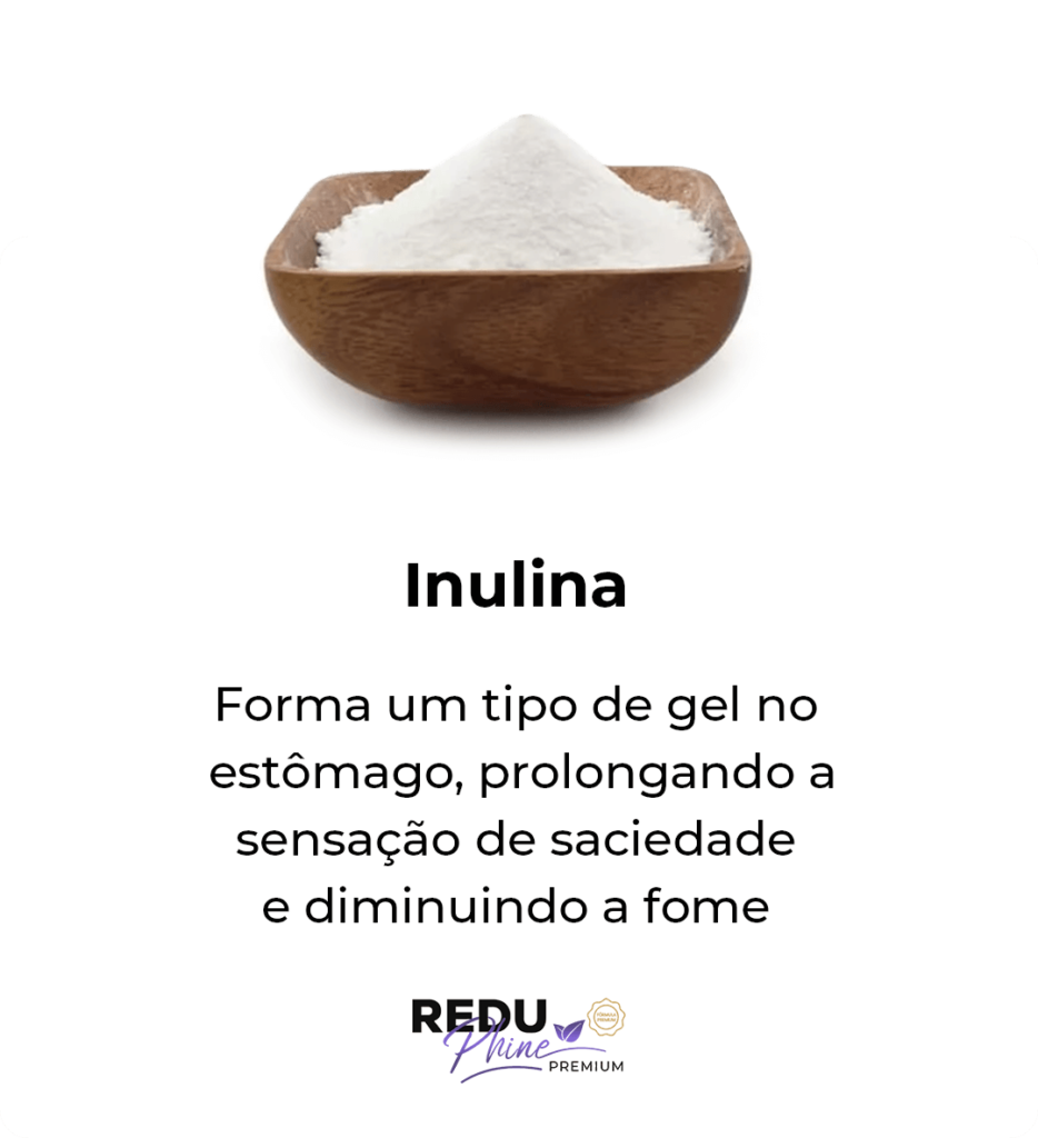 i Inulina 2